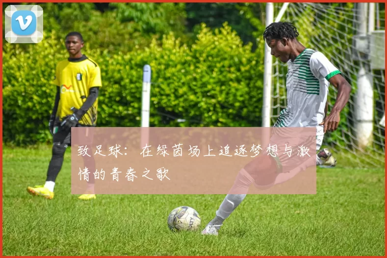 致足球：在绿茵场上追逐梦想与激情的青春之歌