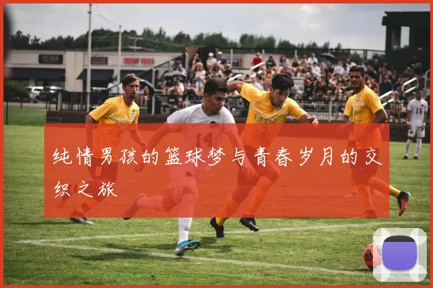 纯情男孩的篮球梦与青春岁月的交织之旅