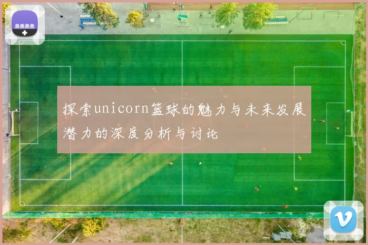 探索unicorn篮球的魅力与未来发展潜力的深度分析与讨论